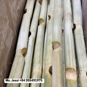 อ้อยแช่แข็งสำหรับเครื่องดื่มและของหวาน | หวานปอกเปลือกและบรรจุสูญญากาศ/นางสาวเจสซี่ - Product Image 3