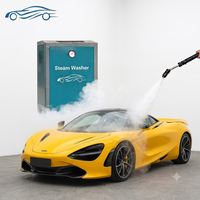 Machine de lavage de voiture à vapeur électrique en acier inoxydable de qualité commerciale, 8 bars, remplissage automatique d'eau, deux pistolets à vapeur, 220V 380V, usage intensif