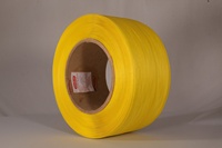 Rouleau de sangle en polypropylène (PP) 12 mm 15 mm entièrement automatique, écologique, résistant à l'eau, imprimé en héliogravure, semi-automatique, extrudé