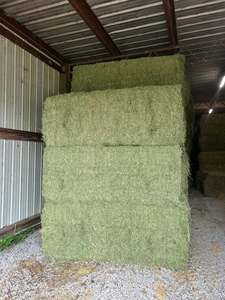 Heno de Alfalfa Natural Curado al Sol para Ganado Lechero y Caballos, Pacas de Heno de Alfalfa 100% Natural para Alimentación Animal - Product Image 6