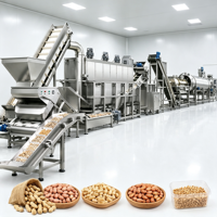 Ligne de traitement automatique des cacahuètes pour la production de snacks de cacahuètes grillées