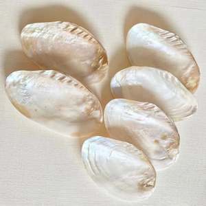 Concha Ovalada de Nácar Blanco Cultivada en Agua Dulce, Ecológica, Religiosa, con Diseño de Flor de Amor y Ángel, Pulida - Product Image 3