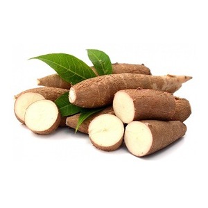 El mejor precio para verduras de yuca frescas de alta calidad en stock con entrega rápida ¡Compre ahora! - Product Image 4