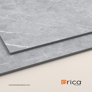 Azulejos antideslizantes gris claro de alta calidad Davish, diseño moderno para cocina, Villa y escuela, exportador de India - Product Image 4