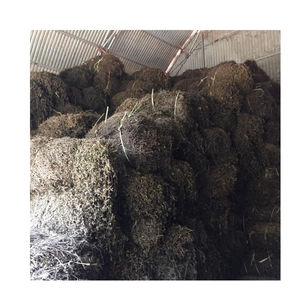 HOT DEAL 2025 Gelatina de hierba seca para refresco de verano-Ingrediente puro y natural para marcas de bebidas y negocios de exportación - Product Image 4