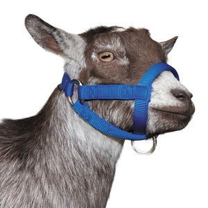 Sangles de tête personnalisées pour bétail, en nylon durable de qualité supérieure, réglables, pour moutons - Product Image 1