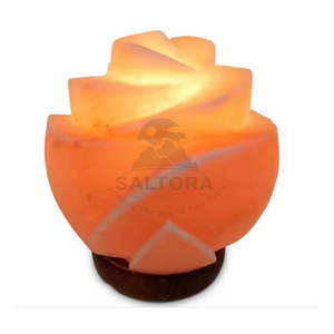 Lámpara de sal con forma de sal de bajo precio, el mejor Material, lámpara de sal con forma de flor, precio al por mayor, lámpara de sal - Product Image 1