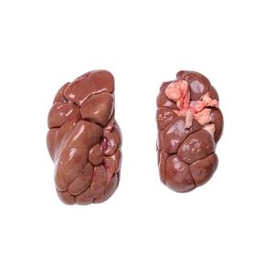 Riñón de Res Halal Congelado de Alta Calidad de Bélgica - Certificado Halal y Garantizado - Product Image 1