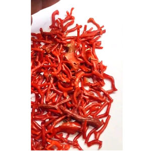 440 piezas de coral italiano natural de 5mm a 40mm en bruto 550 Cts lote Iroc ventas materia prima de alta calidad para piedras preciosas sueltas US $83 todo - Product Image 1