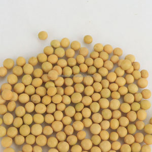 Soja OGM en vrac à vendre - Product Image 1