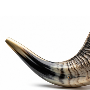 Shofar en corne de bélier naturelle incurvée, fait à la main, corne traditionnelle pour usage religieux, décoration et son authentique - Product Image 3