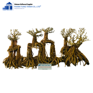 Top selling Handmade driftwood branch driftwood large mopani for Connect people to nature Made in Vietnam - Product Image 3