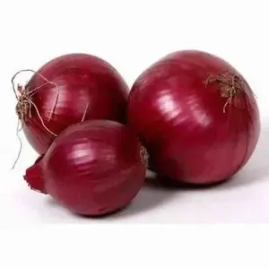 Onions - Onions Products Online -Fresh Red Onions