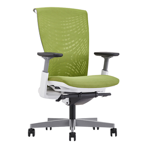 Silla Ergonómica Raina-Mesh con Diseño Contemporáneo y Reposacabezas Ajustable para Oficina en Casa, Hospital, Taller, Uso Doméstico - RPB004 - Product Image 1