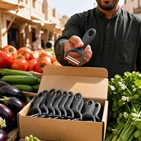 RVS Y-schiller voor groenten en fruit, ergonomische zachte handgreep, keuken gadget voor thuisgebruik, groothandel