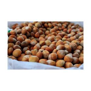 Avellanas de la mejor calidad en venta a precio económico - Product Image 6