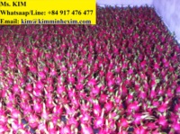 Fruit DE DRAGON FRAIS (CHAIR ROUGE/BLANCHE) COMMUN -- HP 0084 917 476 477