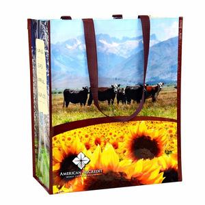 Dây Kéo Vai Tùy Chỉnh Việt Nam Webbing PP dệt chất lượng cao New <span class=keywords><strong>Top</strong></span> wepac PP OEM/ODM dệt Túi mua sắm túi hình ống túi - Product Image 4