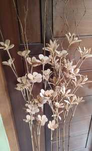 Tiges de fleurs séchées, branches naturelles, arrangement floral, remplissage de fleurs en soie, Daerah Istimewa Yogyakarta, pour la maison, mariage - Product Image 2