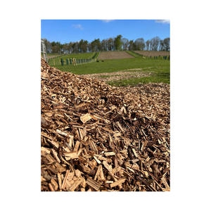 Paillis de bois de saule de haute qualité pour l'agriculture - Product Image 3