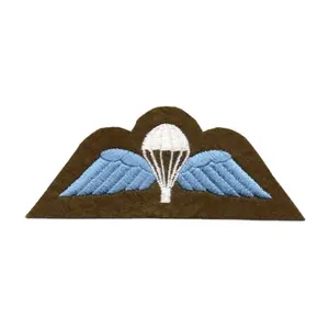 OEM bendera Perancis taktis tempelan bordir aksesoris garmen Patch sayap udara dengan dukungan Hook & Loop