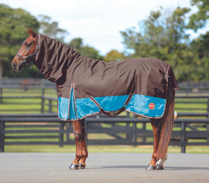 Nouveaux tapis de cheval d'hiver avec des feuilles de cheval en polyester imperméables abordables de conception personnalisée à 100 pour cent - Product Image 6
