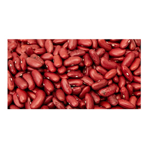 Haricots rouges foncés violets biologiques de haute qualité Vente en gros à bas prix Nouveaux meilleurs haricots - Product Image 6