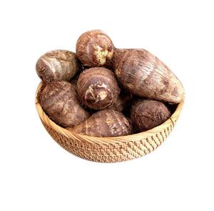 Nouveau taro rond biologique frais, prix de gros bon marché, fournisseur - Product Image 1