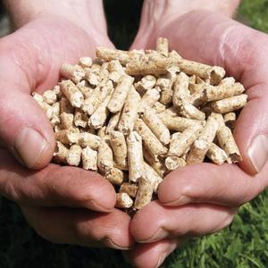 Bolsas de plástico ENplus A1 de la mejor calidad certificadas 100% Pellets de madera de pino 6mm-10mm 15kg/25kg a la venta en todo el mundo con descuento - Product Image 3