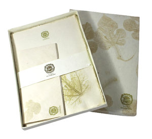 Ensemble de lettres en papier A4 avec logo imprimé Cadeau d'entreprise Têtes de lettres A4 et 5 enveloppes avec impressions de feuilles réelles Bureau - Product Image 2