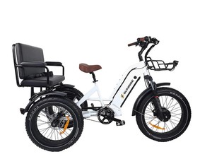 NUEVO Triciclo Eléctrico de 750W para Aventuras, Trike UL - Product Image 3