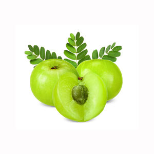 Amla orgánica de alta calidad, fruta fresca para procesamiento herbal, productos de salud, supermercados y compradores al por mayor - Product Image 5