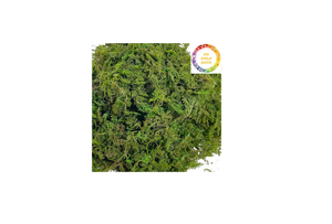 มอสป่าแห้งตามธรรมชาติสำหรับปลูกต้นไม้เก็บความร้อนเป็นมิตรกับสิ่งแวดล้อมผลิตภัณฑ์ทางการเกษตร - Product Image 2