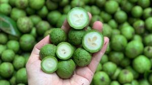 Fournisseur en gros de dracontomelon entier congelé prune d'indochine de haute qualité - Product Image 2