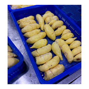 Durian surgelé vietnamien authentique, sucré, crémeux et aromatique, populaire dans le monde entier, prêt à manger, emballé avec fraîcheur et saveur - Product Image 3