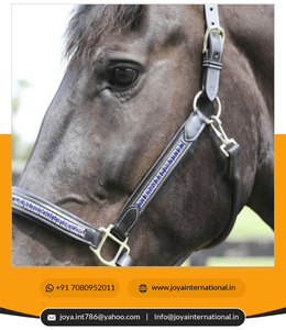 เชือกแขวนคอแบบมีฟองน้ำสำหรับม้าสวมใส่สบายระบายอากาศได้ดี - Product Image 6