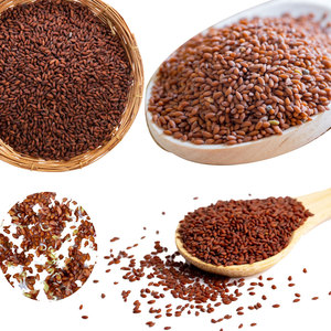 Berro | Verde culinario natural | Fuente de comida ecológica - Product Image 5