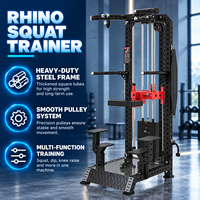BN Wholesale Rhino Squat Trainer Squat Pull Up Dip Machine pour studio d'entraînement privé