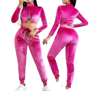 Conjunto de Dos Piezas de Chándal de Terciopelo con Logotipo Personalizado para Otoño e Invierno, Conjunto de Sudadera con Capucha para Mujer, Conjunto de Dos Piezas, Chándal 2026 - Product Image 4