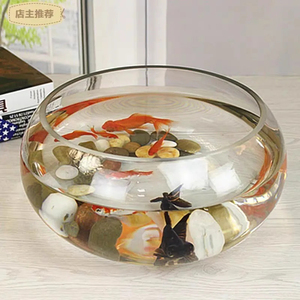 Aquarium en verre élégant pour la cuisine, la salle à manger, la chambre à coucher - Petite taille 5L Forme ronde Aquarium à économie d'énergie - Product Image 4