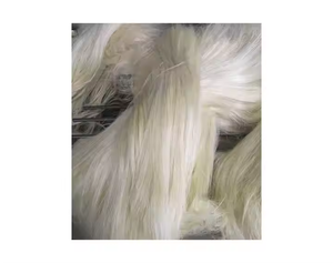 Fibra de sisal de Grado Superior/Fibra de sisal de alta calidad/Fibra de sisal de grado UG de Kenia - Product Image 4