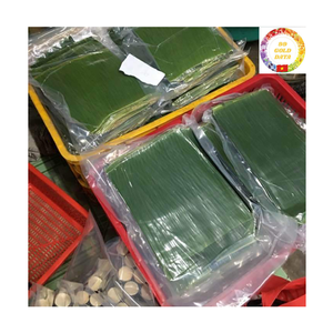 Feuilles de bananier vertes congelées, produit naturel du Vietnam, couleur verte fraîche, haute qualité, approvisionnement en gros pour l'emballage alimentaire - Product Image 5