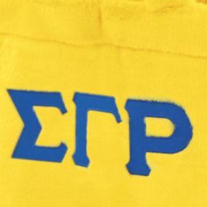 Sigma Gamma Rho SRGho sac en fourrure or doux en peluche fourre-tout élégant grec vêtements élégant sororité sac à main spacieux Durable mode - Product Image 4