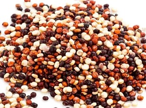 Quinoa Tricolore Biologica Premium dal Perù, 100% Pura, 12% di Umidità, Superfood ad Alto Contenuto Proteico, Confezione (25kg) Agrilatin SAC Exports - Product Image 5