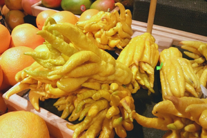 FRUTA DE BUDDHA / FRAGANTE Y FRESCA / PERFECTA PARA USO CULINARIO Y DECORATIVO / GRAN VALOR / HECHO EN VIETNAM - Product Image 5