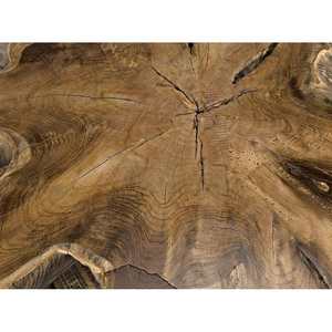 Table basse root en bois de teck massif et matériau de haute qualité pour une utilisation intérieure et extérieure - Product Image 6