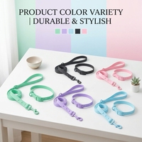Ensemble collier et laisse pour chien imperméable et coloré, équipement de promenade souple et flexible pour animaux de compagnie, accessoires pour chiots avec logo personnalisé, fournisseur en gros