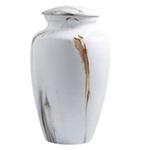 Oyal-legging etal RNS - Product Image 1