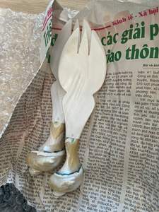 Mother of pearl spoon Vietnam natural shell elegant handcrafted texture wholesale for gourmet stores and tableware brands - Product Image 5