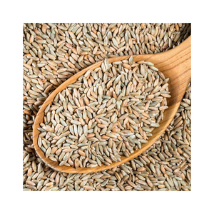 Vente en gros de grains de seigle en vrac pour la production de pain et les marchés de la nutrition - Product Image 6
